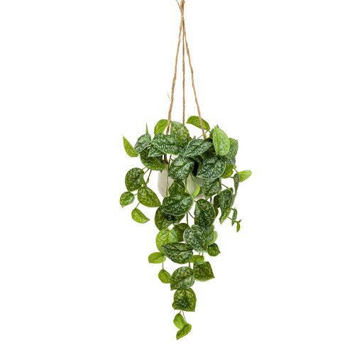 GlamorousFusion 86cm Faux Scindapsus Bush in Hanging Planter | Temple ...