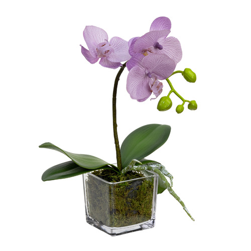 32cm Potted Faux Lavender Orchid in Square Glass