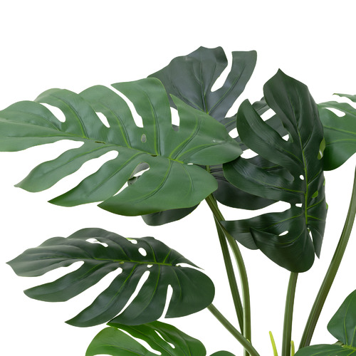 Pollen&fauna Potted Faux Monstera Plant | Temple & Webster