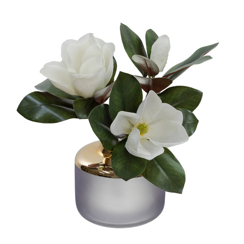 40cm Faux Magnolia Plant in Glass Vase Temple & ster