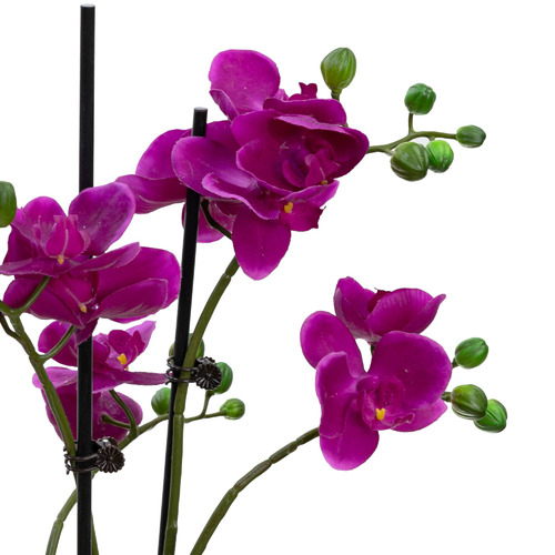 GlamorousFusion 48cm Potted Faux Orchid Plant Temple & ster