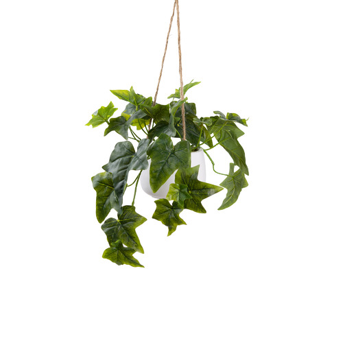 54cm Potted Faux Hanging Ivy Plant | Temple & Webster