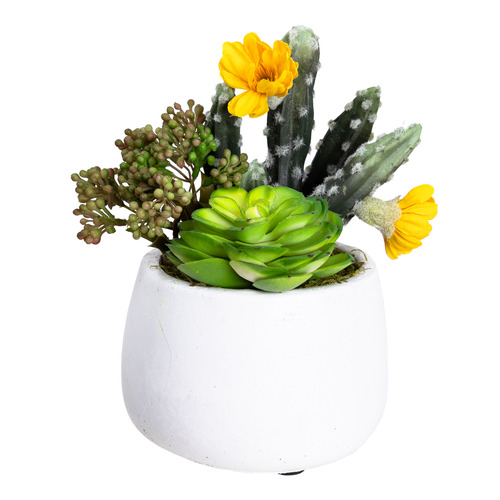 pollen&fauna 20cm Potted Faux Succulent Temple & ster