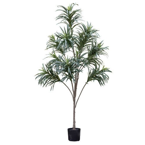 210cm Potted Faux Dracaena Plant | Temple & Webster