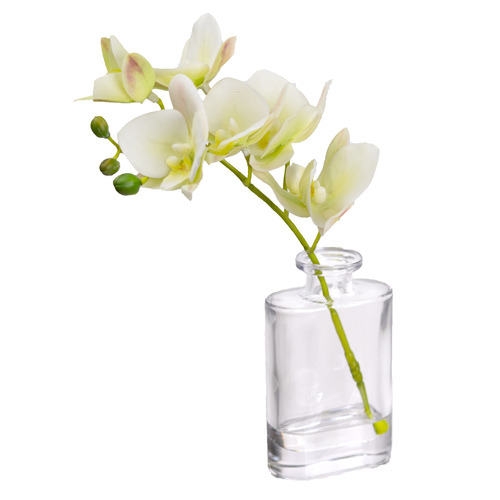 27cm Faux Orchid with Glass Vase Temple & ster
