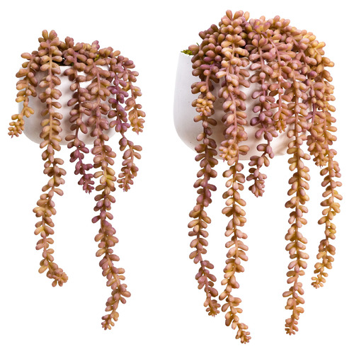 2 Piece Purple Potted Faux Hanging Pearl Plant Set Temple & ster