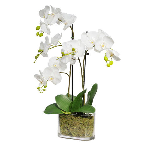60cm Potted Faux Orchid Plant