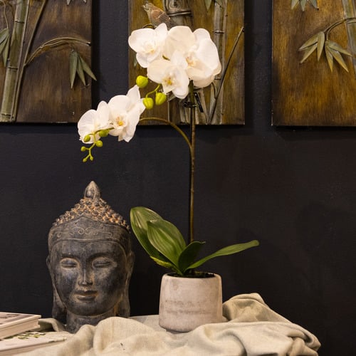 52cm Potted Faux Orchid with Concrete Pot