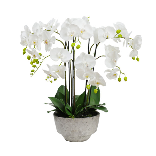 pollen&fauna 78cm Potted Faux Orchid Plant | Temple & Webster