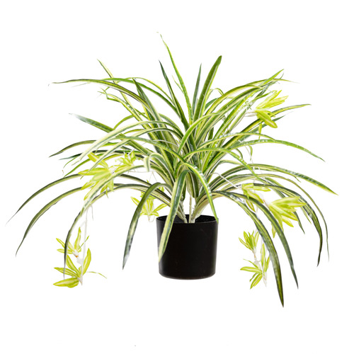 80cm Potted Faux Spider Plant with Stand Temple & ster
