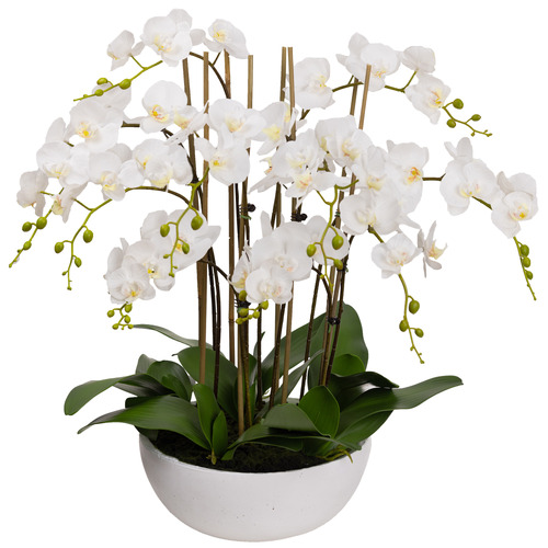 pollen&fauna 75cm Large Faux Phal Orchid with Ceramic Pot | Temple ...