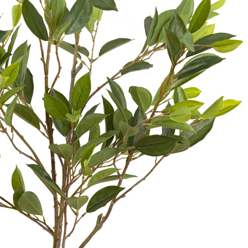 152cm Potted Faux Camellia Leaf Tree Plant