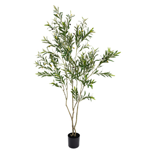 182cm Potted Faux Olive Tree