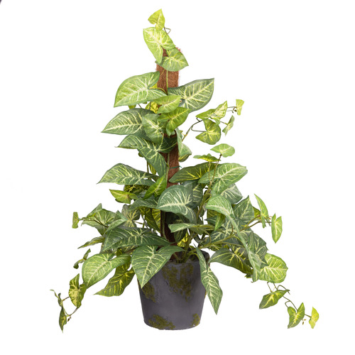 73cm Potted Faux Syngonium on Pole