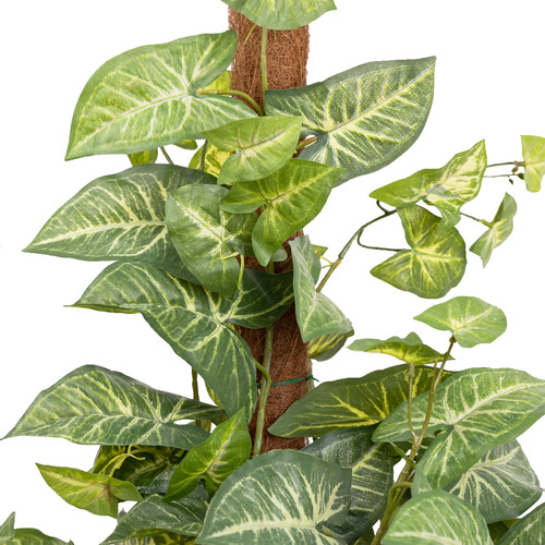 73cm Potted Faux Syngonium on Pole