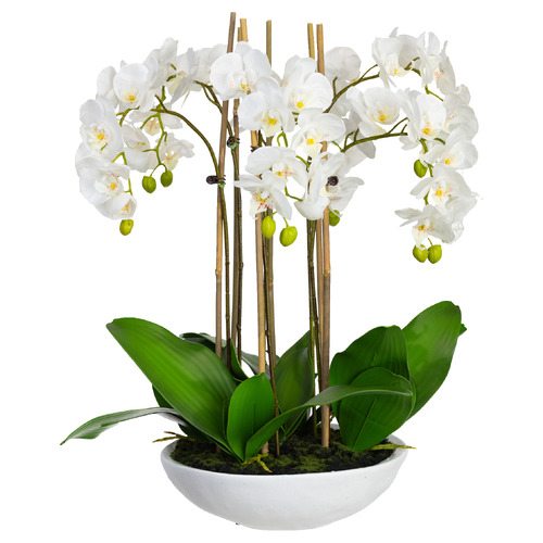 65cm Faux Phal Orchid with White Pot