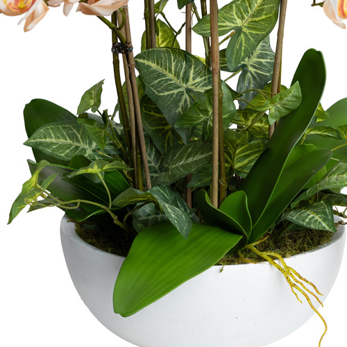78cm Faux Grand Orchid With Ceramic Bowl