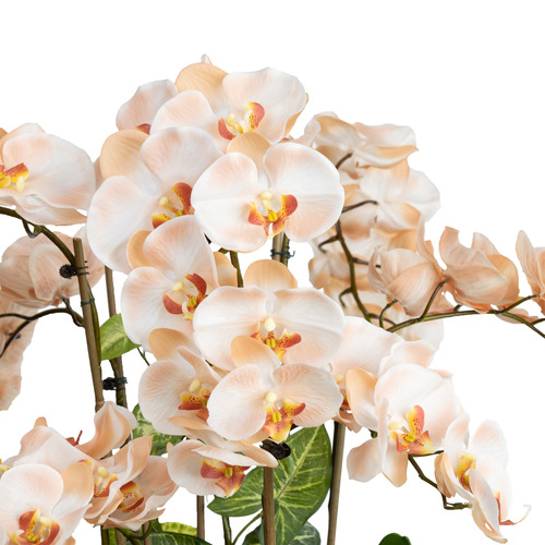 78cm Faux Grand Orchid With Ceramic Bowl