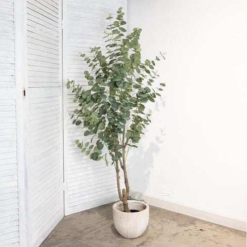 180cm Faux True Blue Eucalyptus Plant