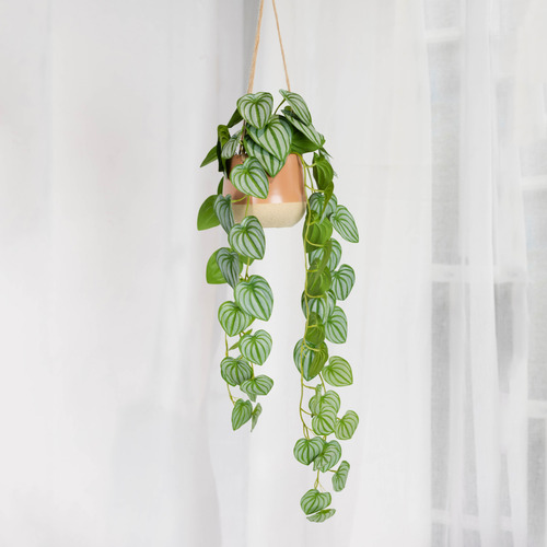 105cm Faux Hanging Watermelon Bush