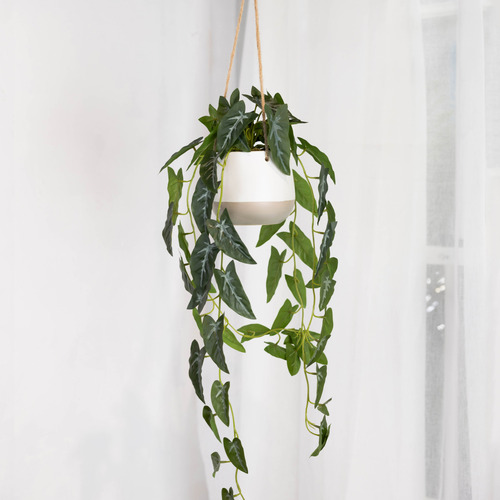 105cm Faux Hanging Syngonium Plant