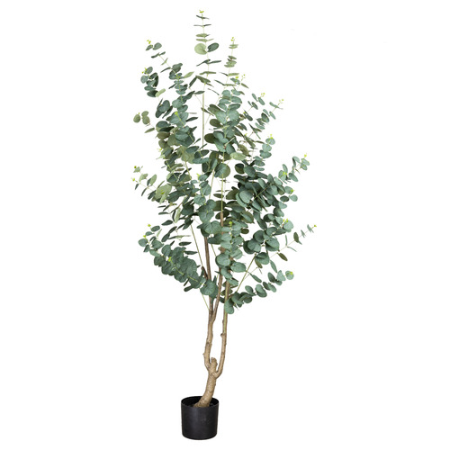 180cm Potted Faux True Blue Eucalyptus Plant
