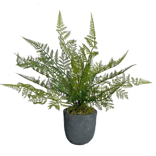 34cm Potted Faux Ruffle Fern Plants