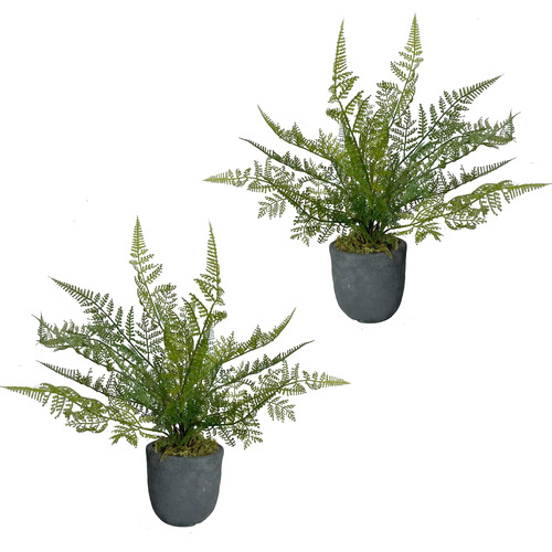 34cm Potted Faux Ruffle Fern Plants