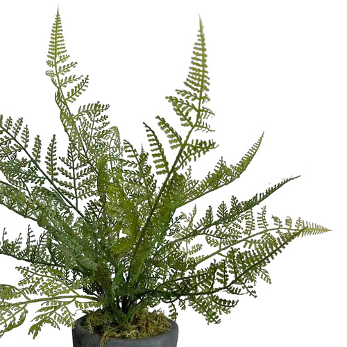 34cm Potted Faux Ruffle Fern Plants