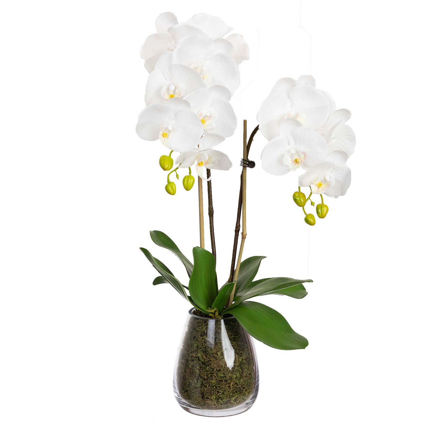 62cm Potted Faux Orchid