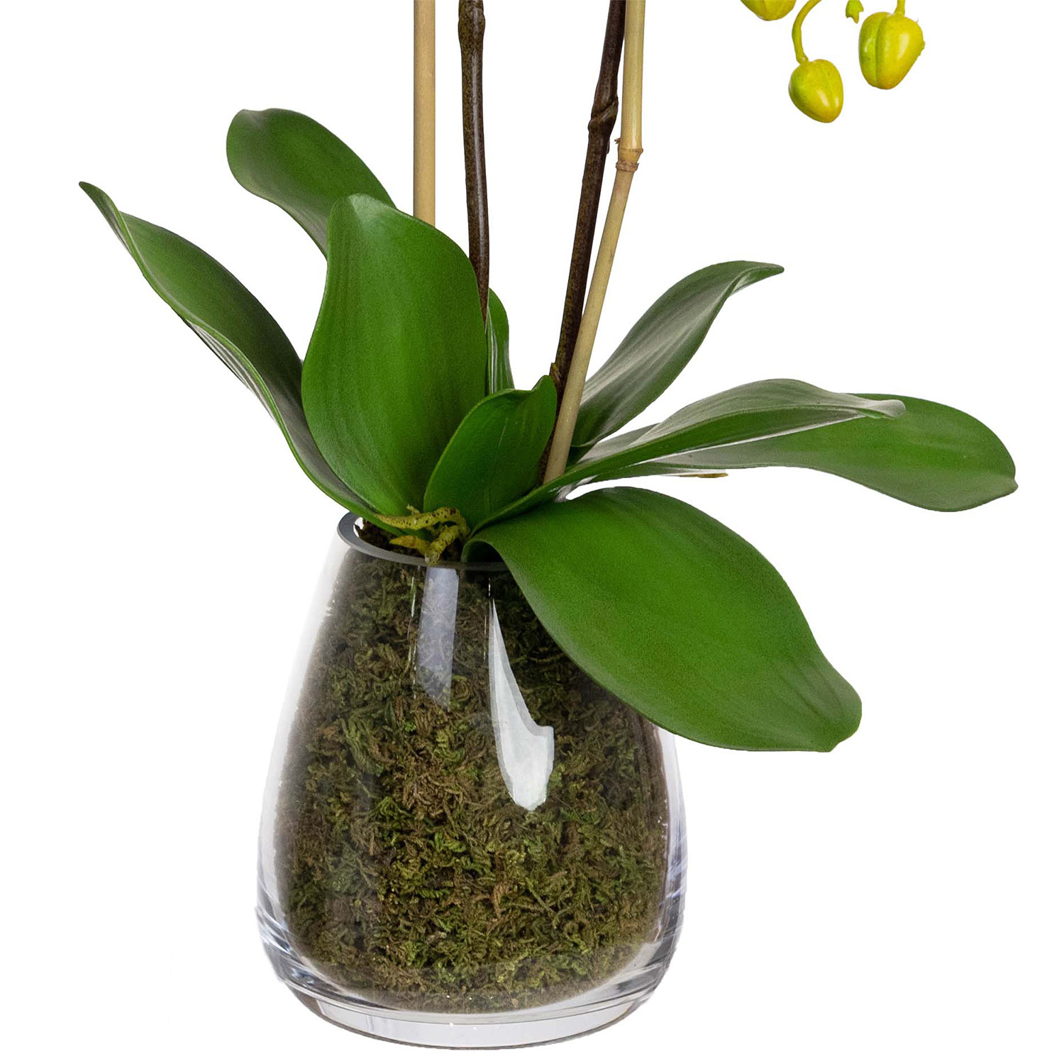 62cm Potted Faux Orchid