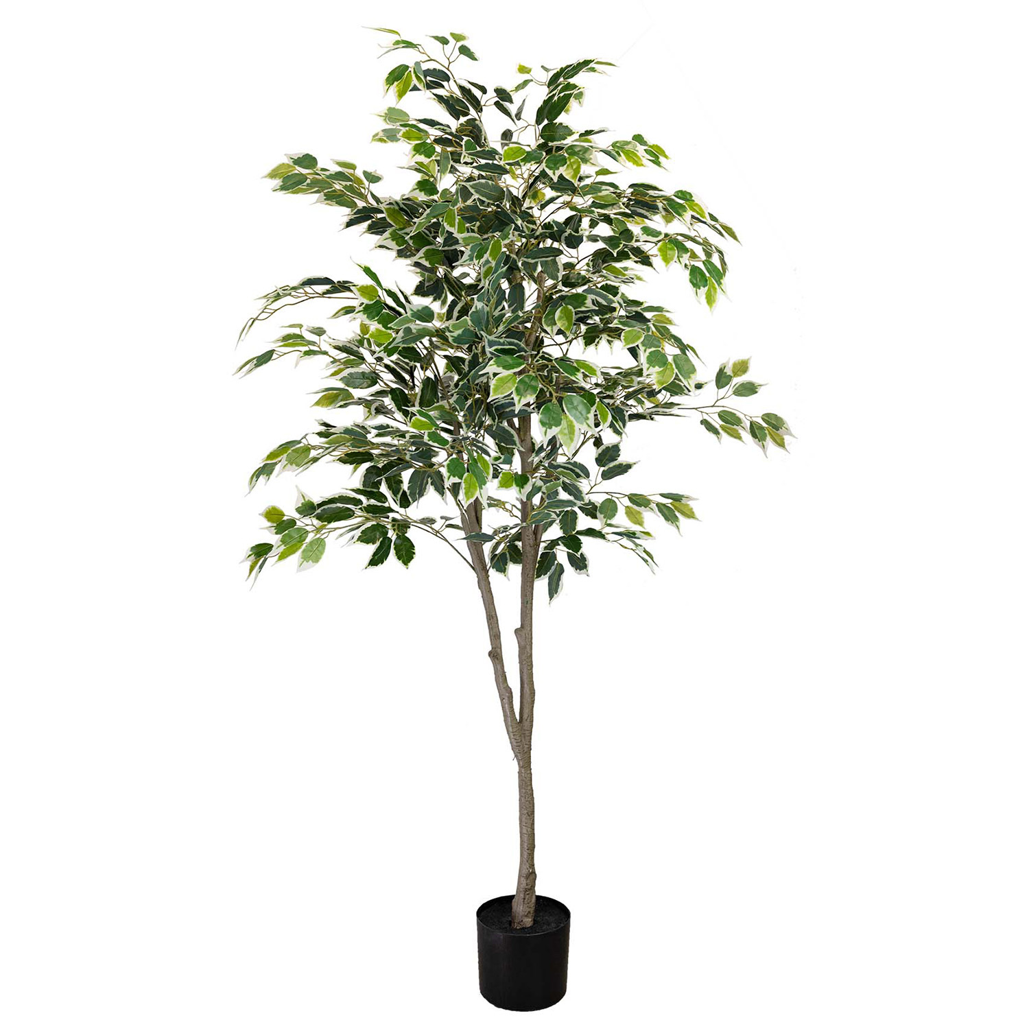 183cm Potted Faux Ficus Plant