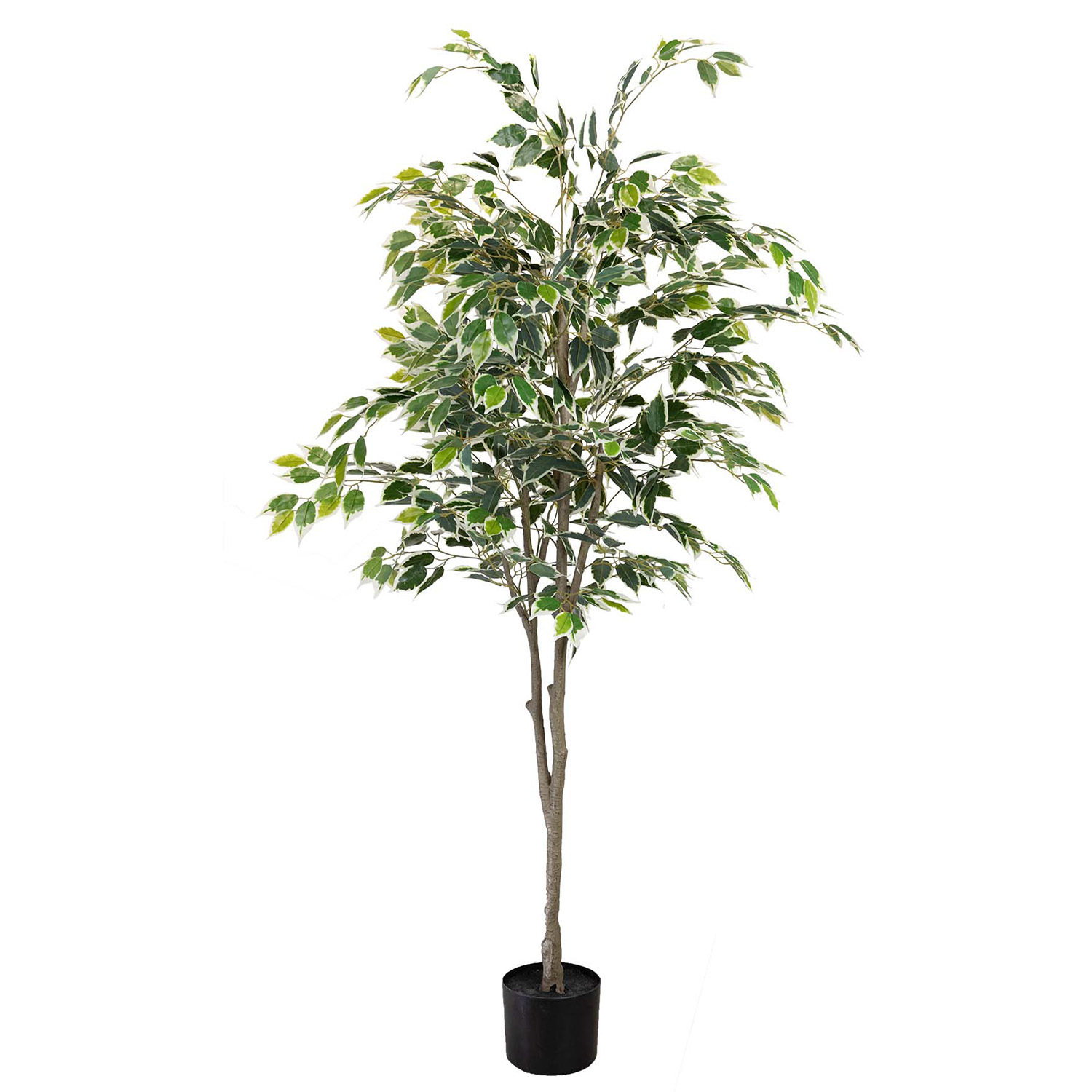 183cm Potted Faux Ficus Plant