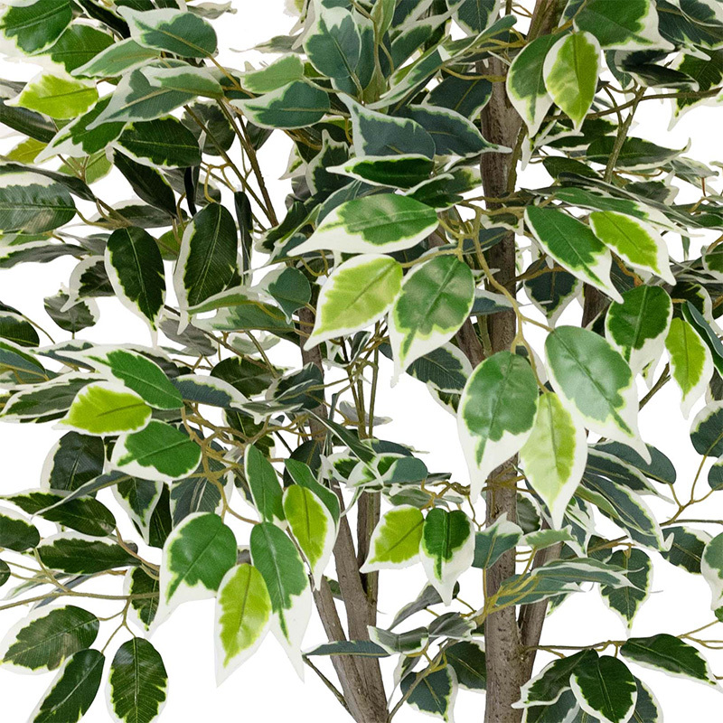 183cm Potted Faux Ficus Plant