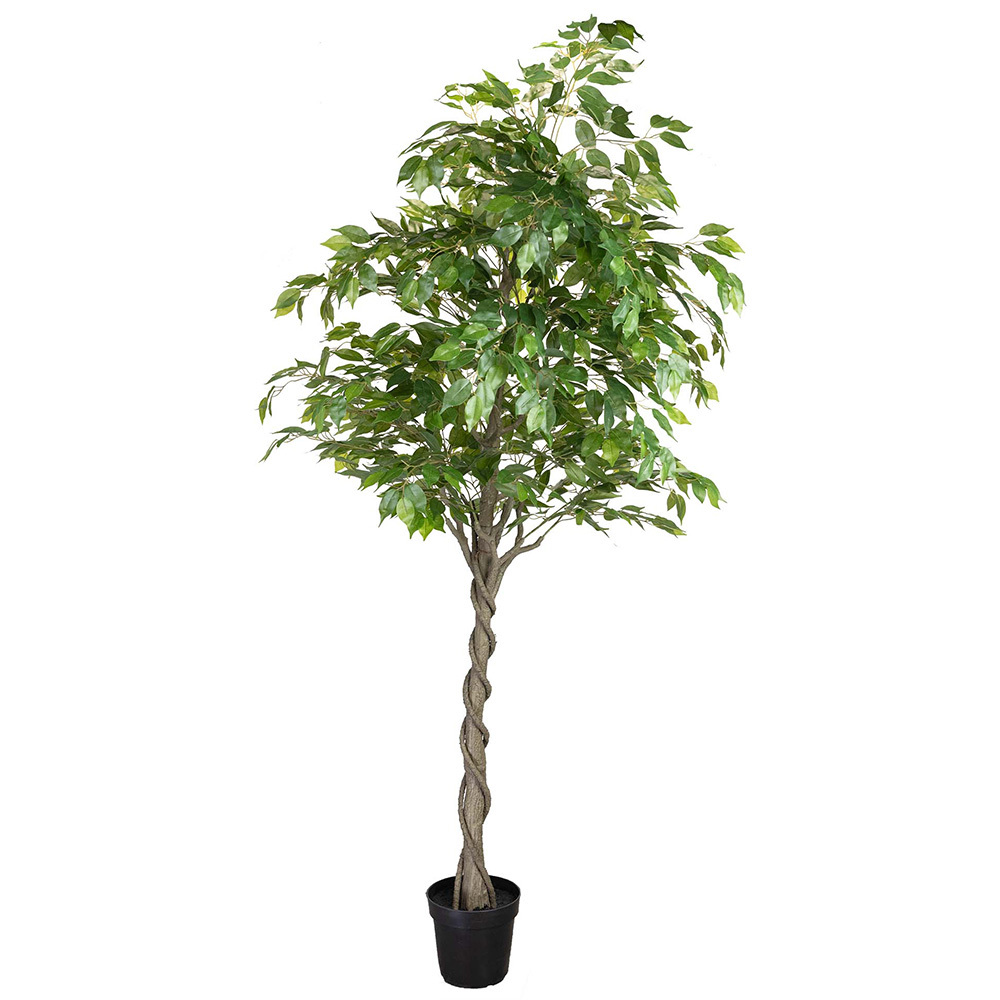 240cm Potted Faux Ficus Plant