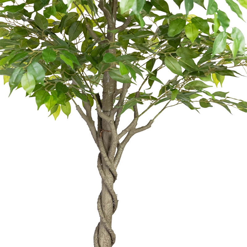 240cm Potted Faux Ficus Plant