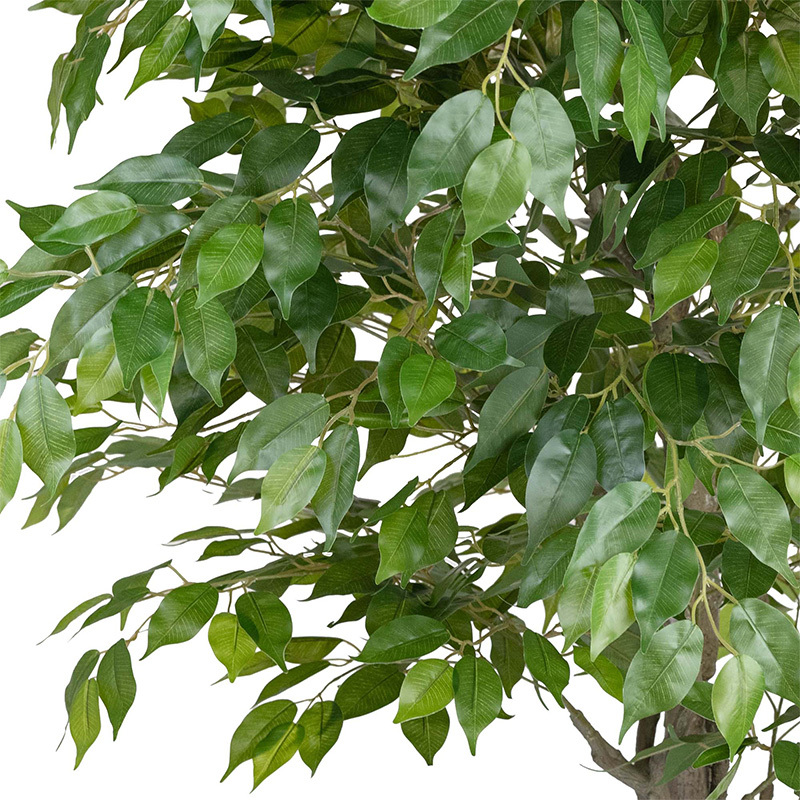 240cm Potted Faux Ficus Plant