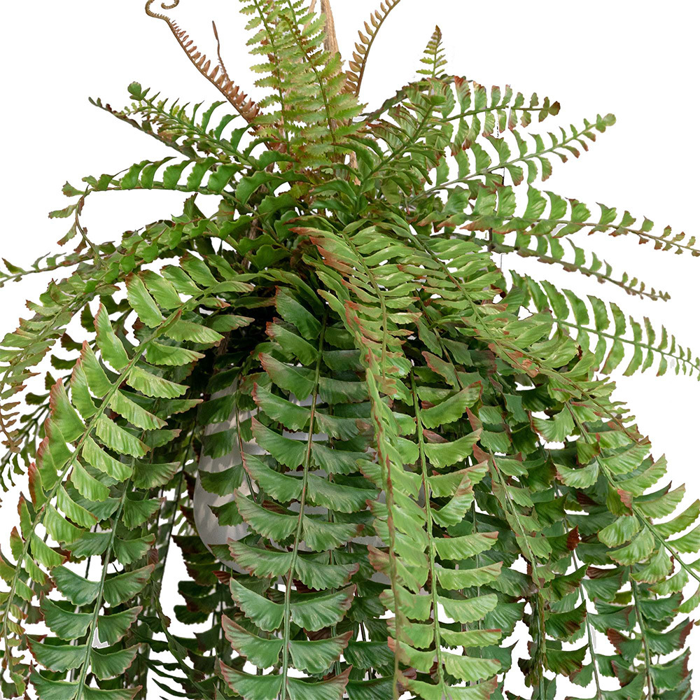 134cm Potted Faux Hanging Fishtail Fern