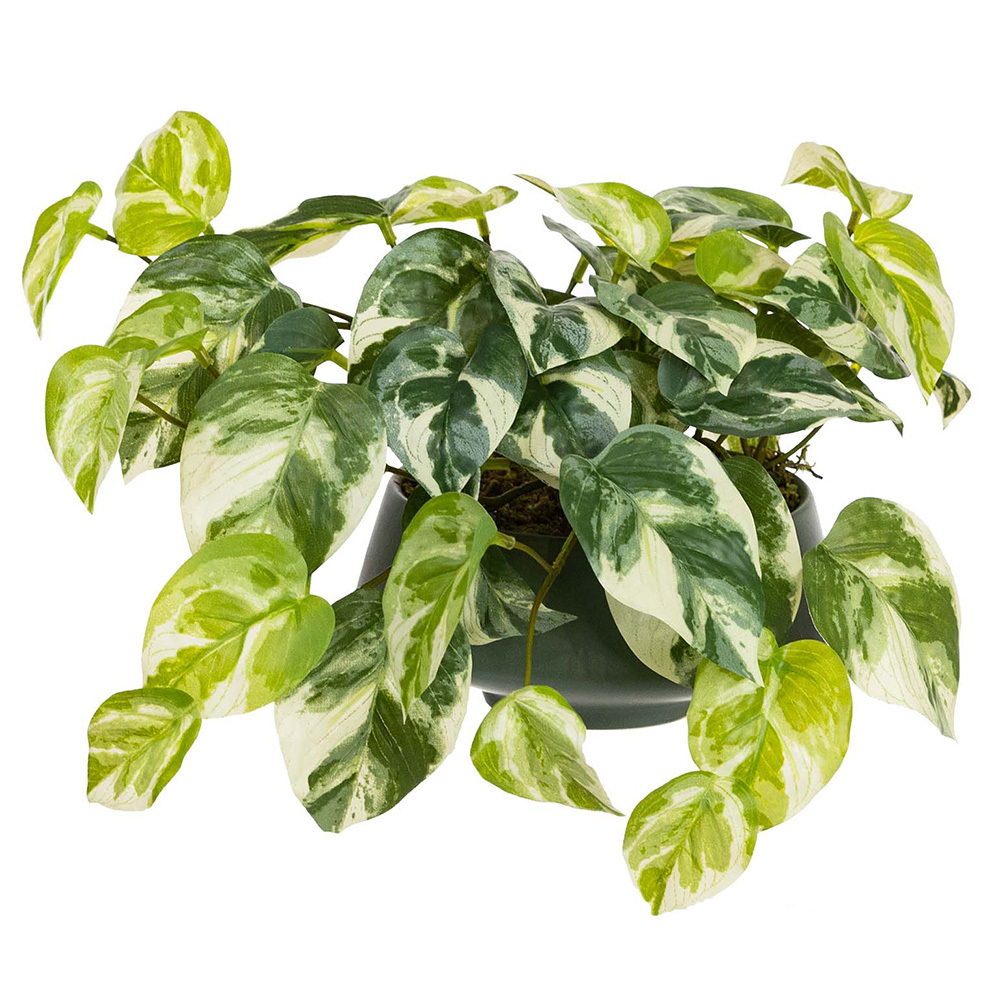 18cm Potted Faux Pothos
