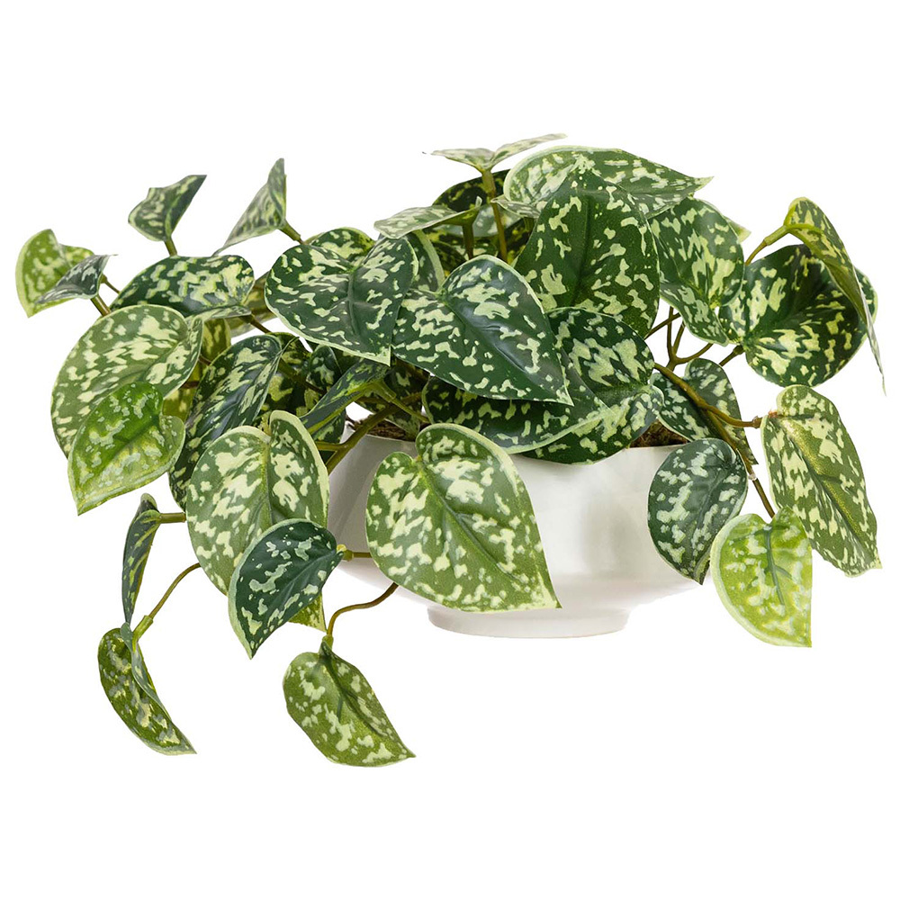 18cm Potted Faux Scindapsus
