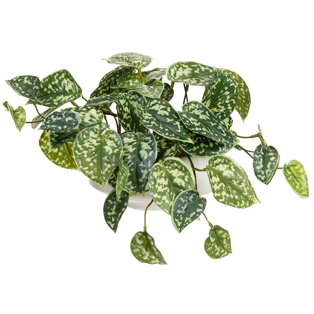 18cm Potted Faux Scindapsus