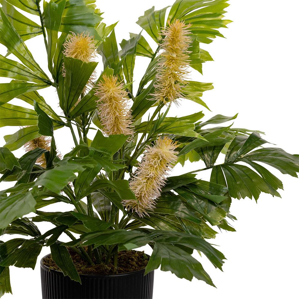 60cm Potted Faux Fishtail Palm