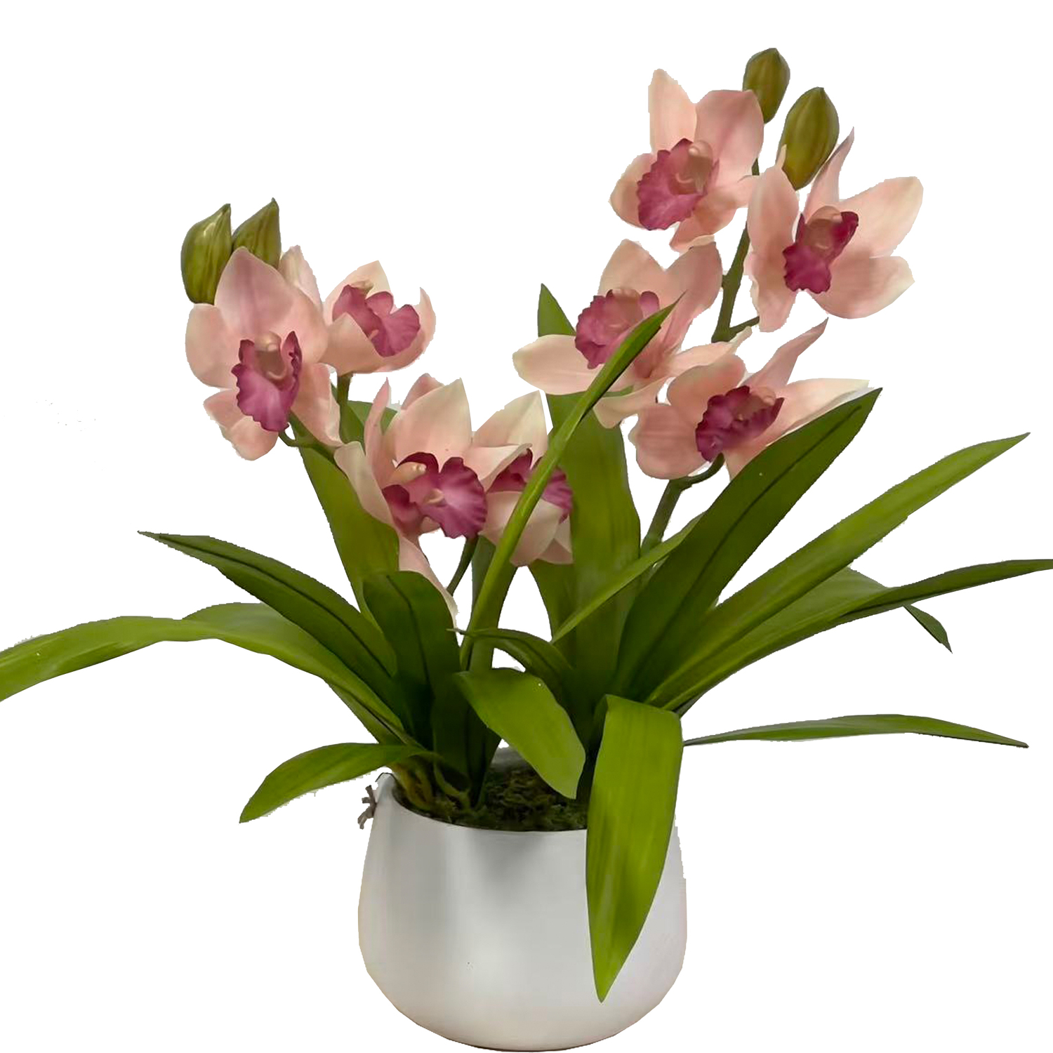 43cm Cream Potted Faux Cymbidium Plant