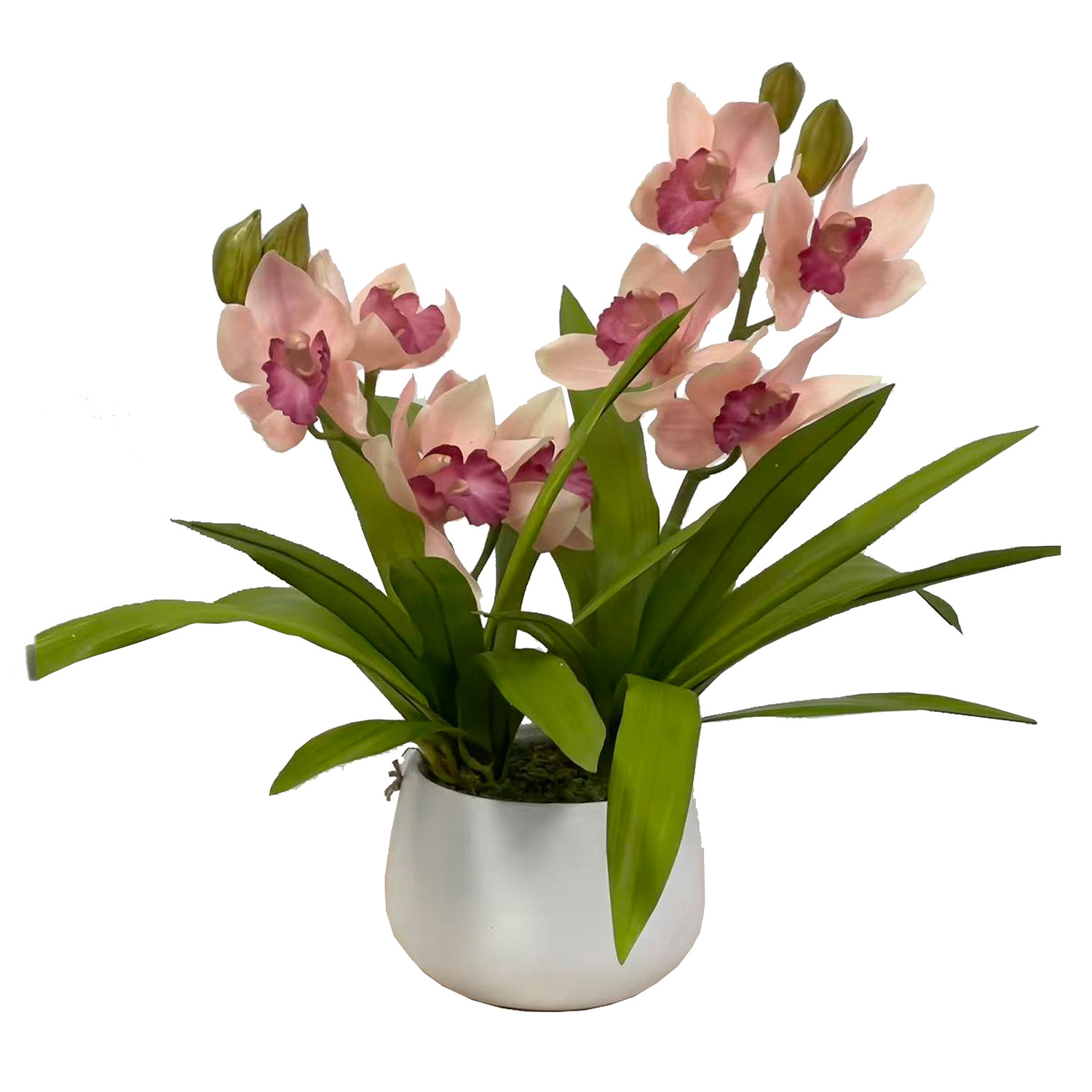 43cm Cream Potted Faux Cymbidium Plant