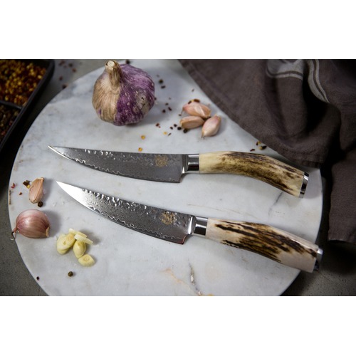 Signature Deluxe Bone Steak Knives with Antler Wood Handles Temple & ster