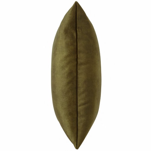 Ava Velvet Cushion