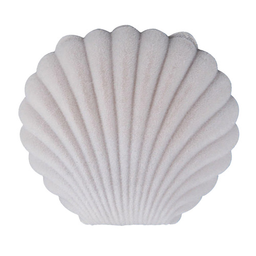 Clam Jewellery Case