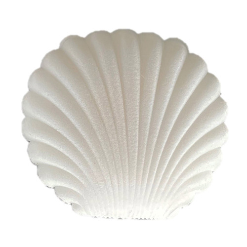 Clam Jewellery Case