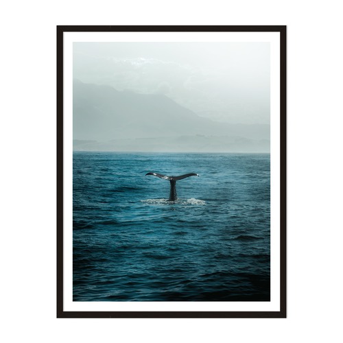 Whale Tail Framed Wall Art