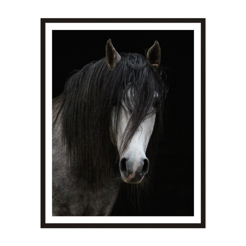 Horse Framed Wall Art